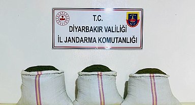 Diyarbakır İl Jandarma Komutanlığından 'Terör örgütüne darbe'