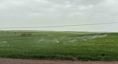 Diyarbakır'da ekili arazi yağmurda fıskiye ile sulandı