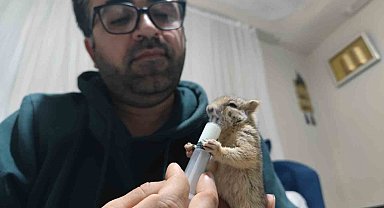 Doğa gezisinde bulduğu yavru sincabı sahiplendi