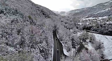Doğal ağaç tünelli yol, kar manzaralarıyla mest etti