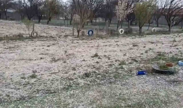 Dolu, hububatta kök hastalığına davetiye çıkardı