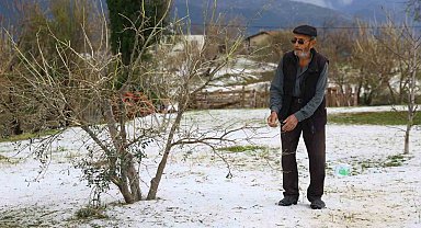 Dolu yağışının zarar verdiği sera ve zeytin bahçelerinde hasar tespit çalışması yapılıyor