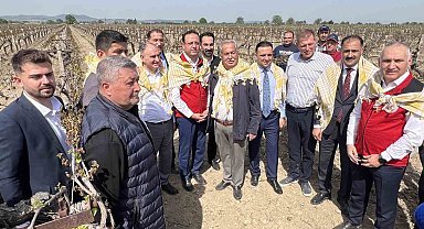 Don afetinden zarar gören üreticilerin yaptıkları masraflar karşılanacak