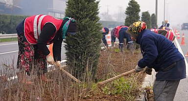 Düzce'de 14 bine yakın bitki dikildi