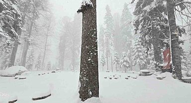 Düzce'nin yüksek kesimlerinde kar kalınlığı 50 santimetreye ulaştı