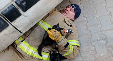 Edremit'te aracın içinde sıkışan yavru kedi kurtarıldı