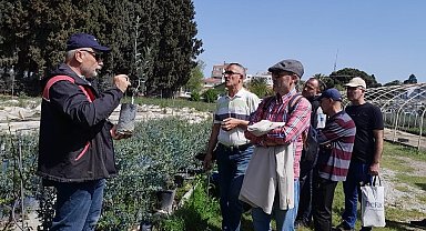 Edremit'te zeytin budama kursu uygulamalı eğitimle tamamlandı
