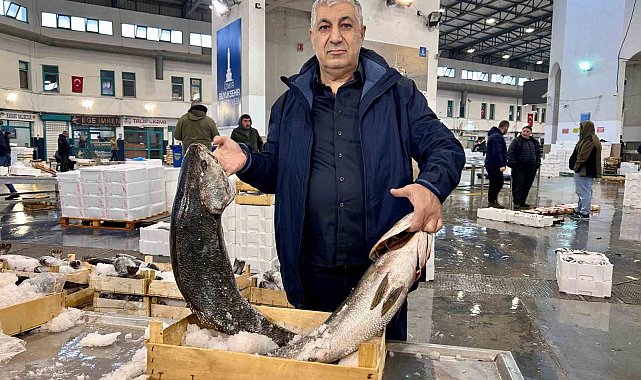 Egeli balıkçılar için sezon bereketli geçiyor