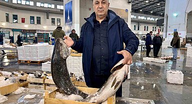 Egeli balıkçılar için sezon bereketli geçiyor