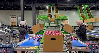 Eğirdir'de elma bahçelerine organik dokunuş, kimyasal yerine hümik asit projesi hayata geçiyor