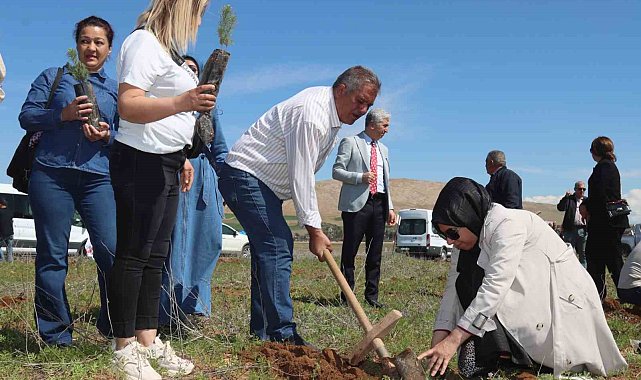 Elazığ'da 'Aile Yılı hatıra ormanı' oluşturuldu