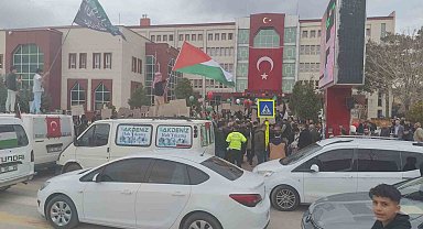 Erciş'te Filistin'e destek yürüyüşü