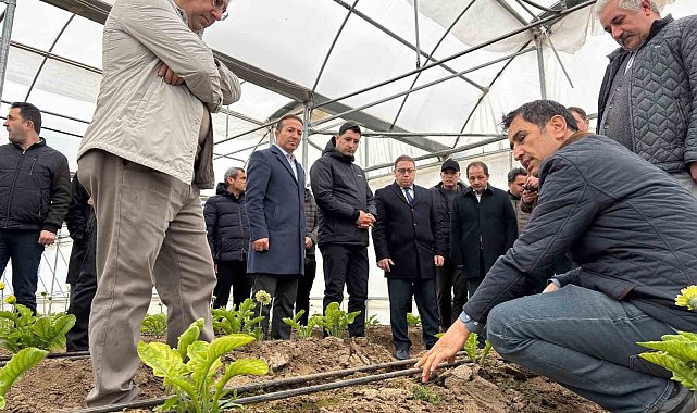 Erzincan heyeti Erbaa Kesme Çiçek Üretim Bölgesinde incelemede bulundu