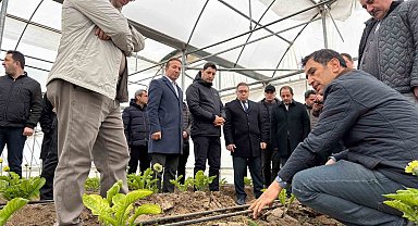 Erzincan heyeti Erbaa Kesme Çiçek Üretim Bölgesinde incelemede bulundu