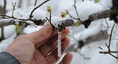 Erzincan için zirai don uyarısı