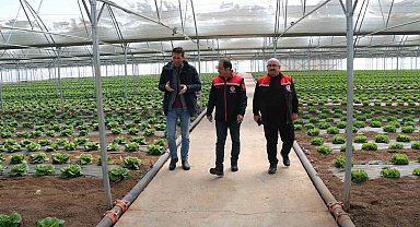 Erzincan seralarında yılda 3 ürün dönemi