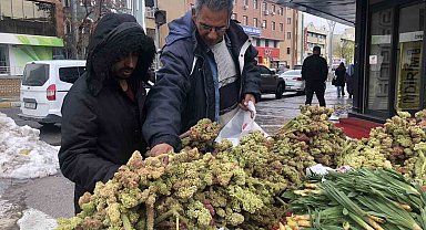 Erzincan'da 'yayla muzunun' destesi 100 ila 300 TL'den satışta