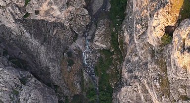 Erzincan'da kanyonlarla bütünleşen yaban keçileri