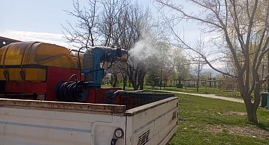 Erzincan'da larva ilaçlaması devam ediyor