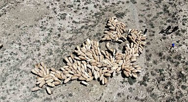 Erzincan'da meralar ihaleye çıkarıldı