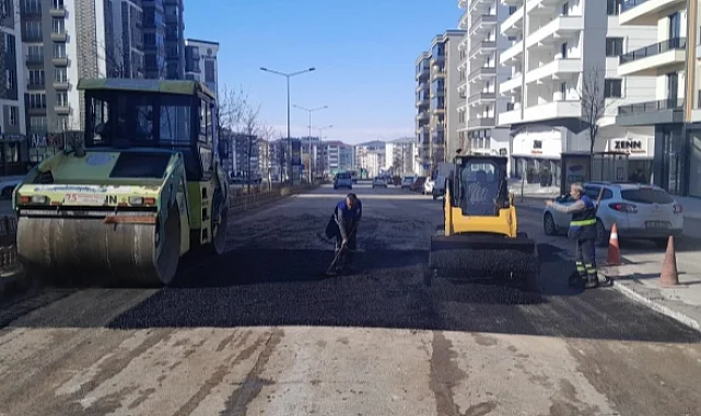 Erzurum Büyükşehir asfalt sezonunu açtı