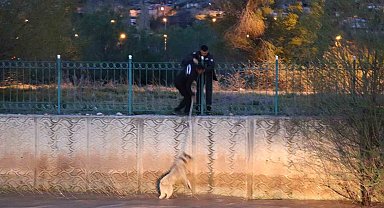Erzurum'da sokak köpeğine kurtarma operasyonu