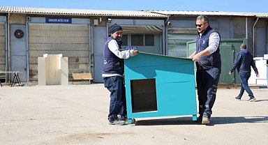 Eskişehir Büyükşehir'den hayvan bakımevi hazırlığı