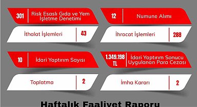 Eskişehir'de gıda denetimlerinde 301 işletme kontrol edildi