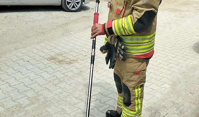 Eve giren yılanı itfaiye yakaladı