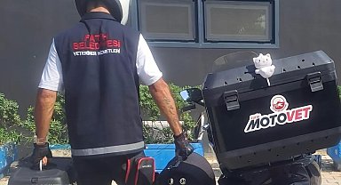Fatih Belediyesi'nden doğaya can: Motovet ekibi yaralı kanatlıları hayata kazandırıyor