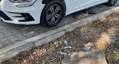 Fethiye'de domuzlar otomobili parçaladı