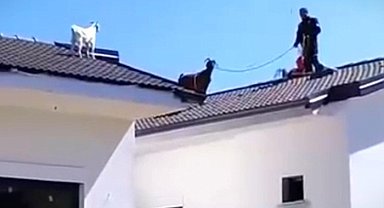 Fethiye'de sıra dışı kurtarma operasyonu