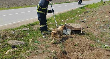 Fosseptik çukurundan gelen köpek sesi itfaiye ekiplerini harekete geçirdi