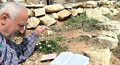 Frekanslarını ölçerek şifalı bitkileri araştırıyor, kayıt altına alıyor
