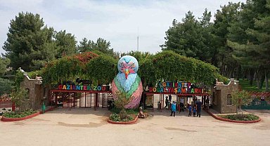 Gaziantep Doğal Yaşam Parkı'na "Afrika Savanı" ve "Yırtıcı Adası" geliyor