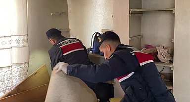 Gaziantep'te organize suç örgütüne yönelik operasyonda 7 tutuklama