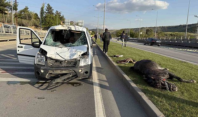 Gaziantep'te yola fırlayan ata sivil polis otosu çarptı: 2 polis yaralandı