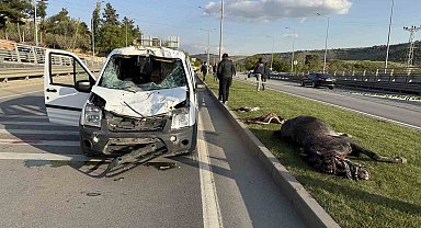 Gaziantep'te yola fırlayan ata sivil polis otosu çarptı: 2 polis yaralandı