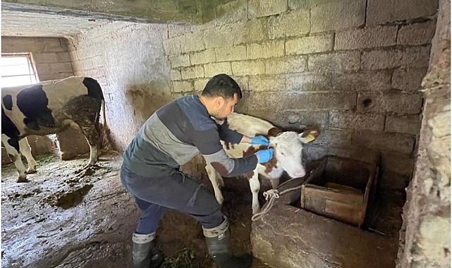 Gazipaşa'da gıda ve hayvan sağlığı denetimi