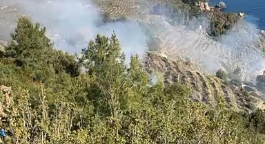 Gazipaşa'da muz bahçesindeki yangın makilik alana sıçradı