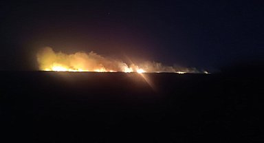 Göksu Deltası'nda sazlık alanda yangın