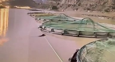 Gündüz vakti somon üretim tesisine giren aç ayı kameralara yakalandı