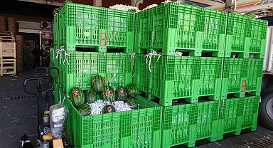 Halden 700 kilo karpuz çalındı: O anlar kamerada