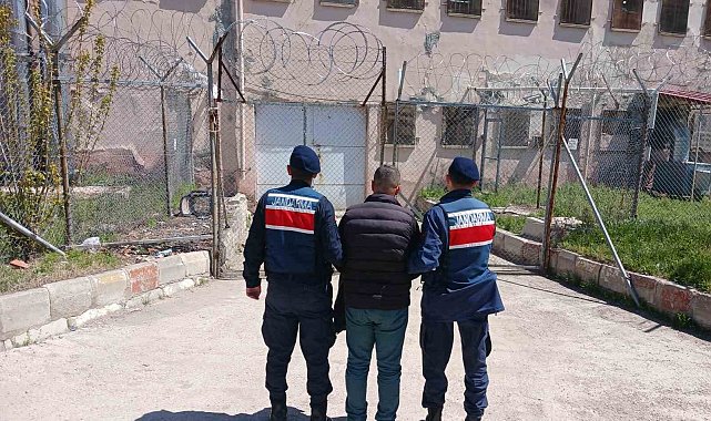 Hapis cezasıyla aranan şahıs jandarma tarafından yakalandı