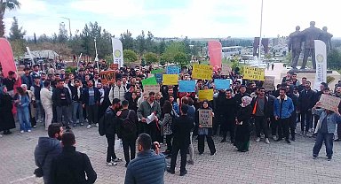 Harran Üniversitesi öğrencilerinden, başıboş sokak köpeğinin saldırısından kaçmaya çalışırken otomobilin çarpması sonucu hayatını kaybeden ölen arkadaşları için eylem