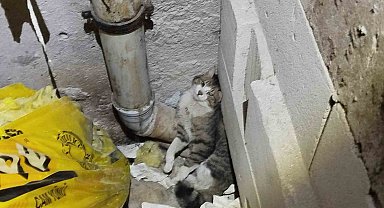 Havalandırma boşluğunda sıkışan kedi kurtarıldı