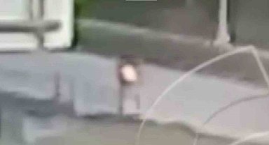 Hayatını kaybeden motosiklet sürücünün son görüntüleri ortaya çıktı