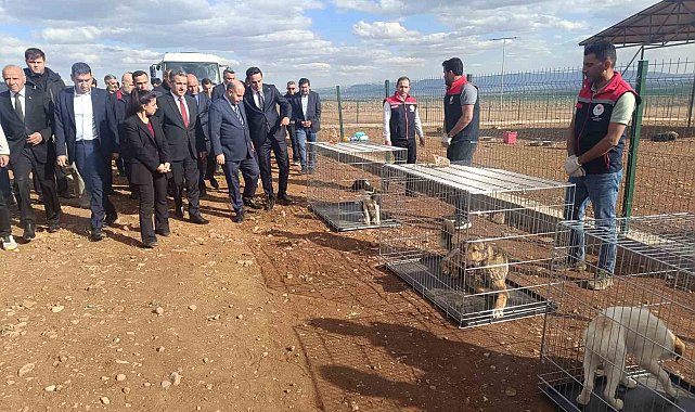 İçişleri Bakan Yardımcısı Aktaş'ın Şırnak temasları
