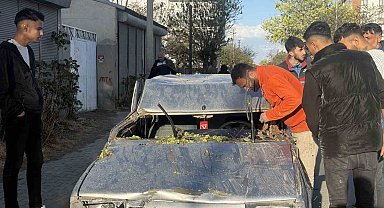 Iğdır'da seyir halindeki aracın üzerine ağaç devrildi, sürücü yaralandı