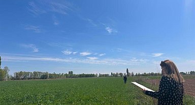 Iğdır'da yem bitkileri kontrolleri devam ediyor